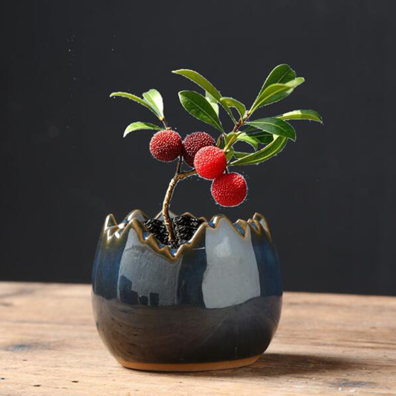 Bonsai Garden Art - Kiln Transmutation Glazed Eggshell Flowerpot Creative