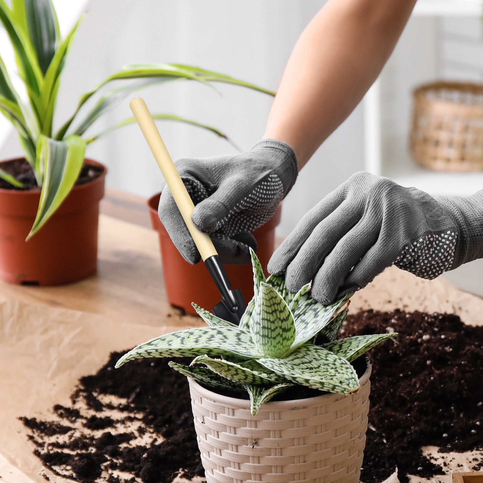 2Sets Mini Garden Tools Set Ga - đánh giá và giá Bonsai Garden Rake