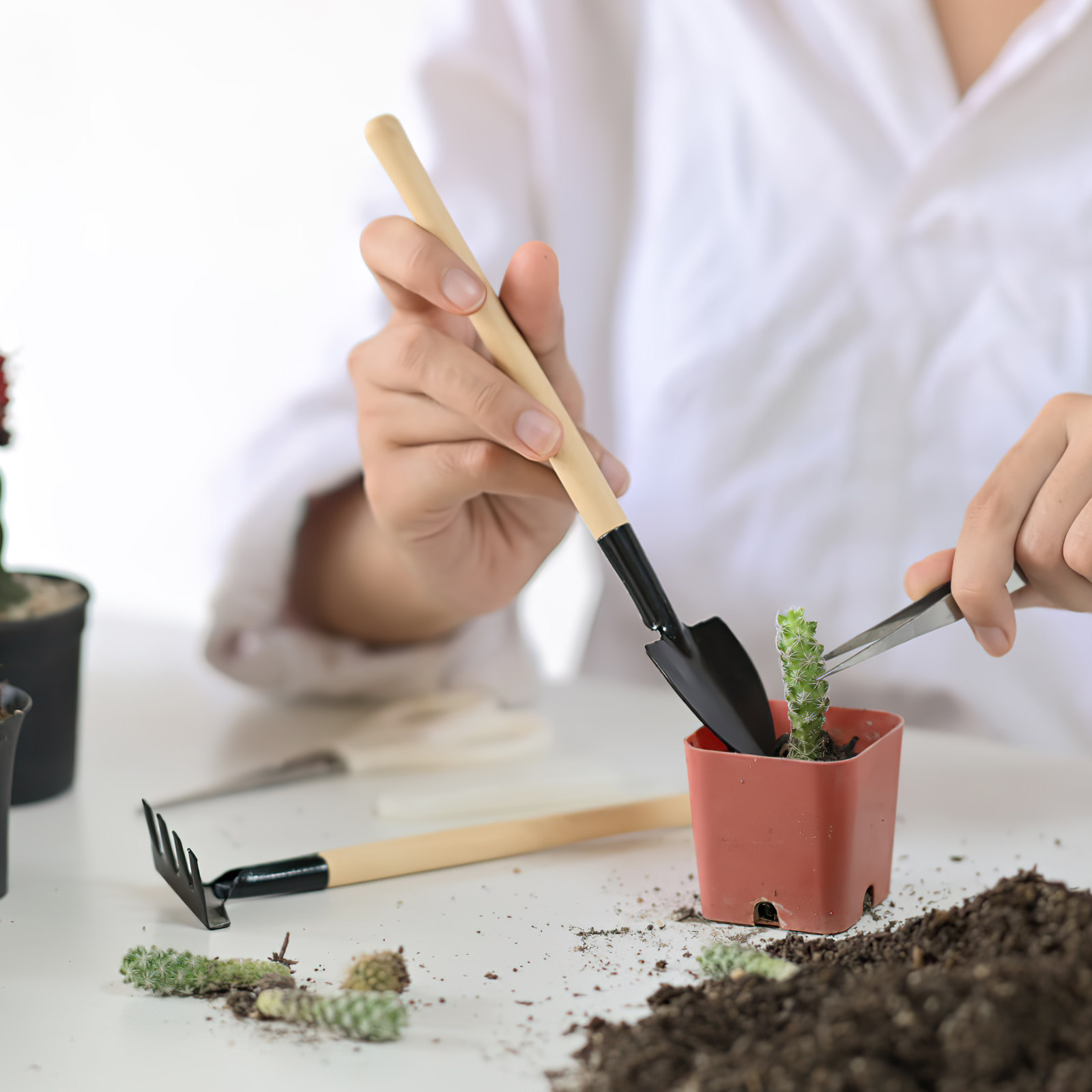2Sets Mini Garden Tools Set Ga - đánh giá và giá Bonsai Garden Rake