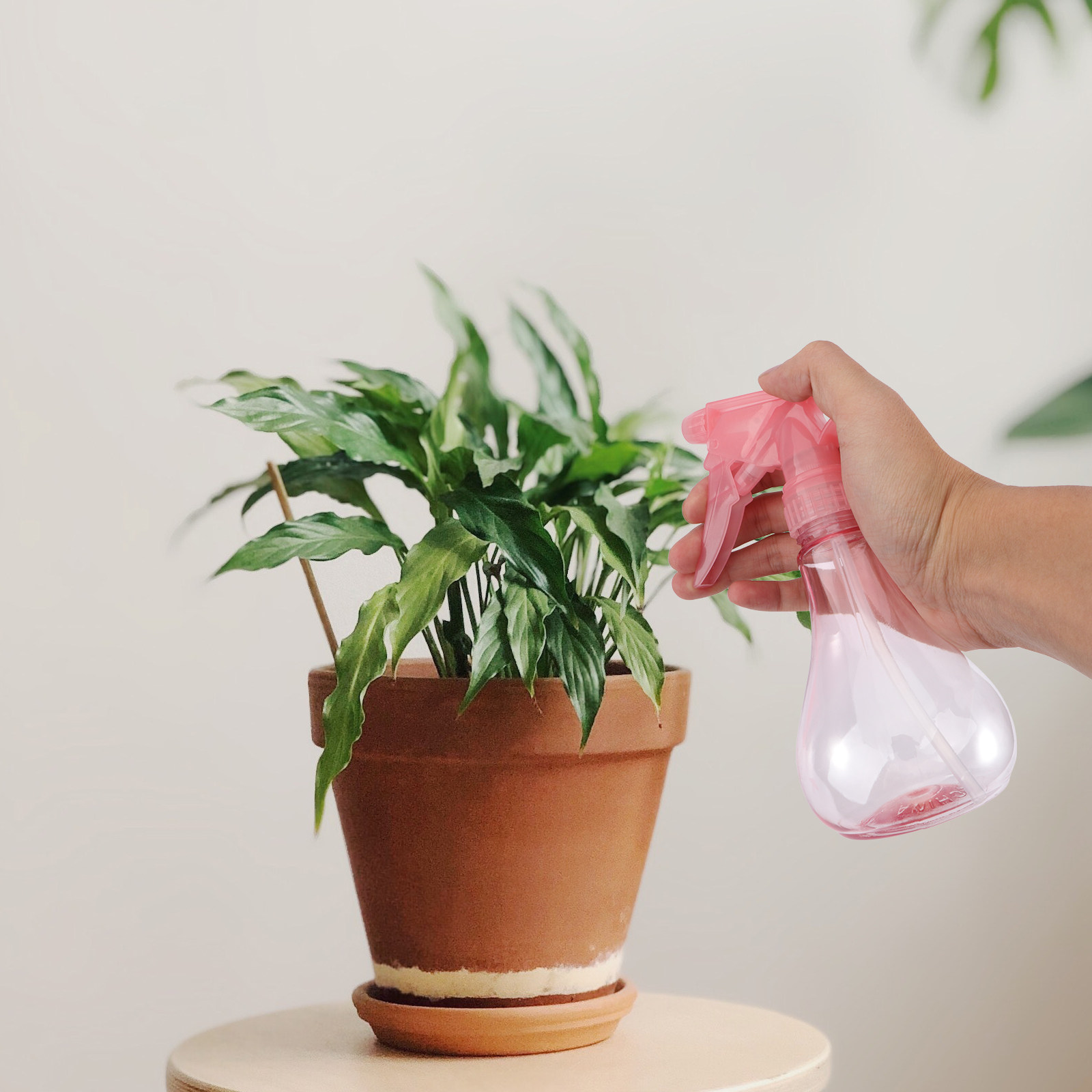 1Set Mini Gardening Art Tools  - đánh giá và giá Bonsai Garden Art