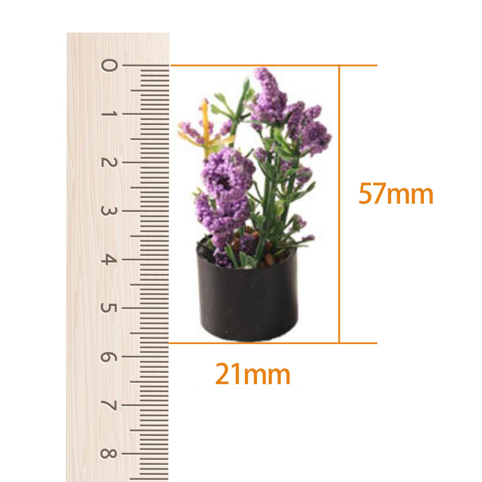 1/12 Miniature Flower Bonsai O - đánh giá và giá Bonsai Garden Photos