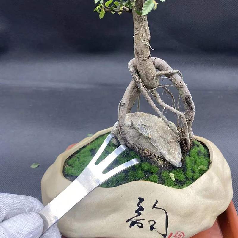 1Pc Stainless Steel Root Rake  - đánh giá và giá Bonsai Garden Rake