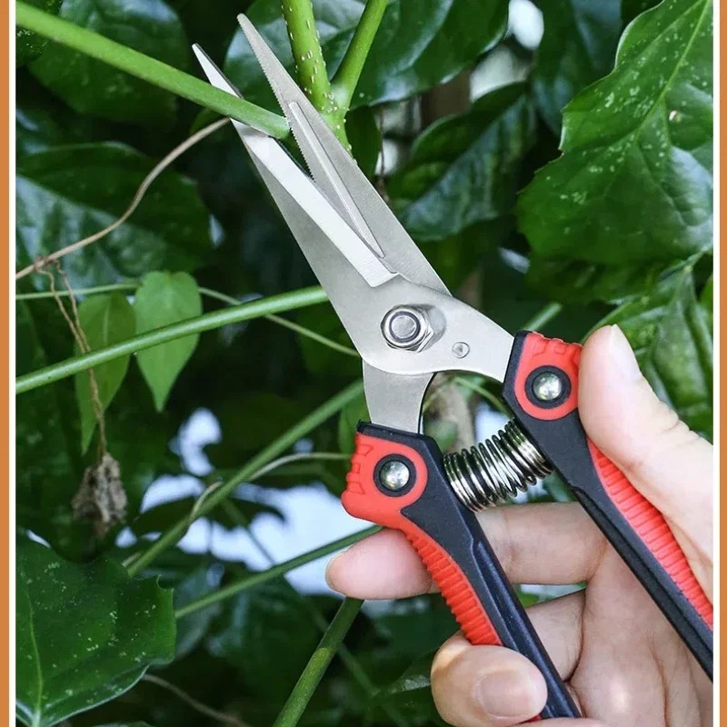 NEWSHARK Stainless Steel Pruni - đánh giá và giá Bonsai Garden Rake