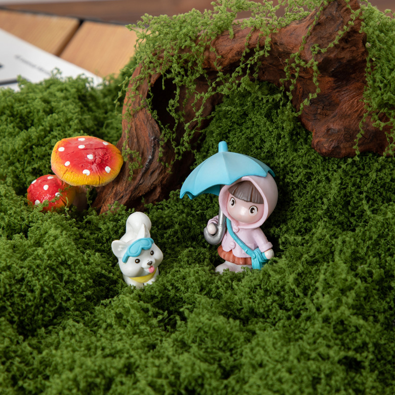 200g Eternal Life Moss DIY Cra - đánh giá và giá Bonsai Garden Home