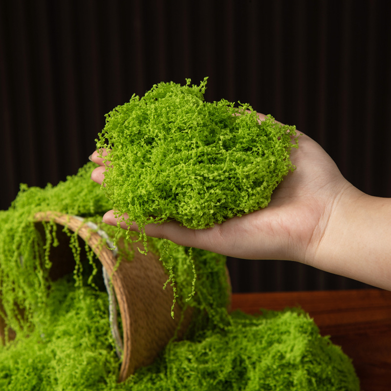 200g Eternal Life Moss DIY Cra - đánh giá và giá Bonsai Garden Home