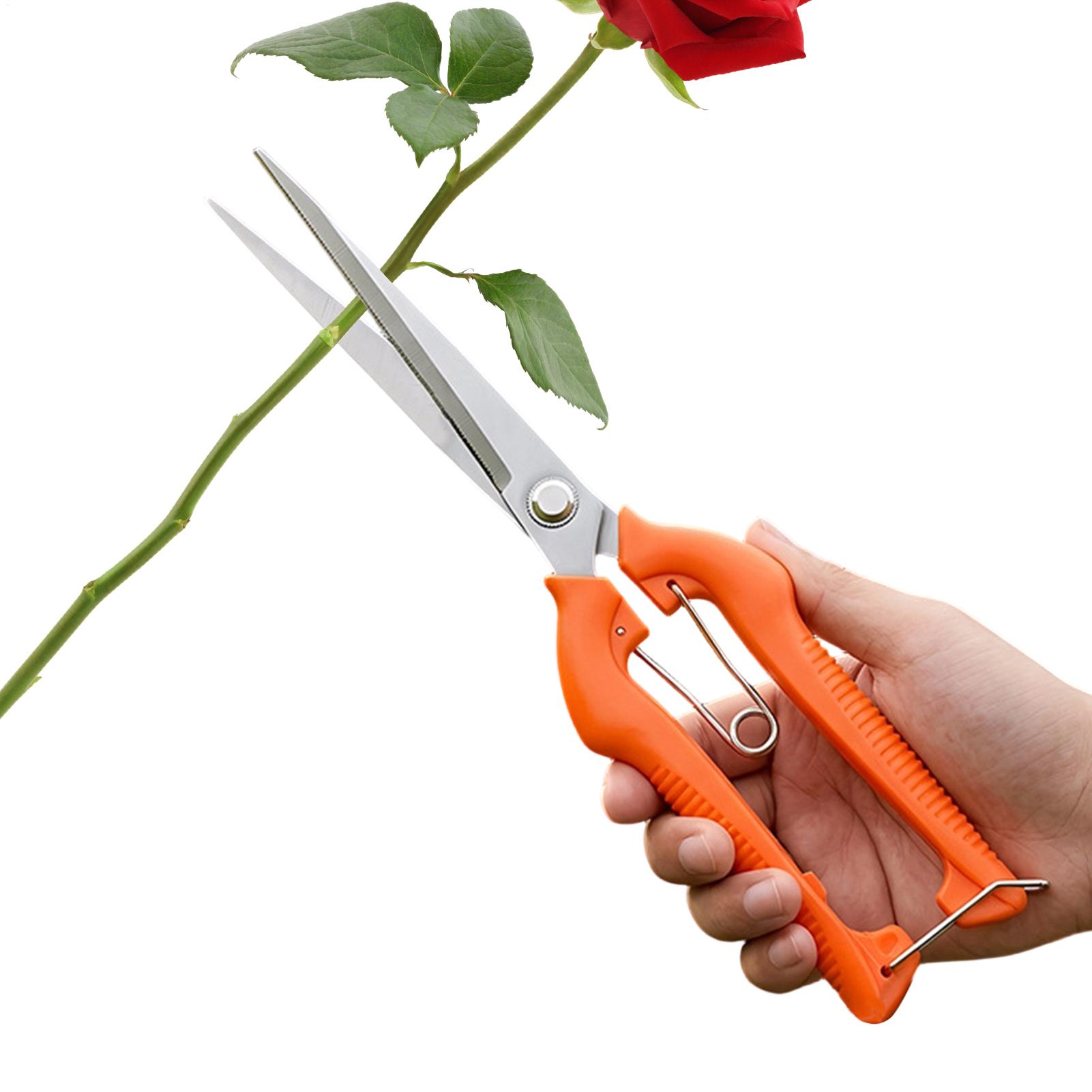 Pruning Shears Grape Scissors  - đánh giá và giá Bonsai Garden Rake