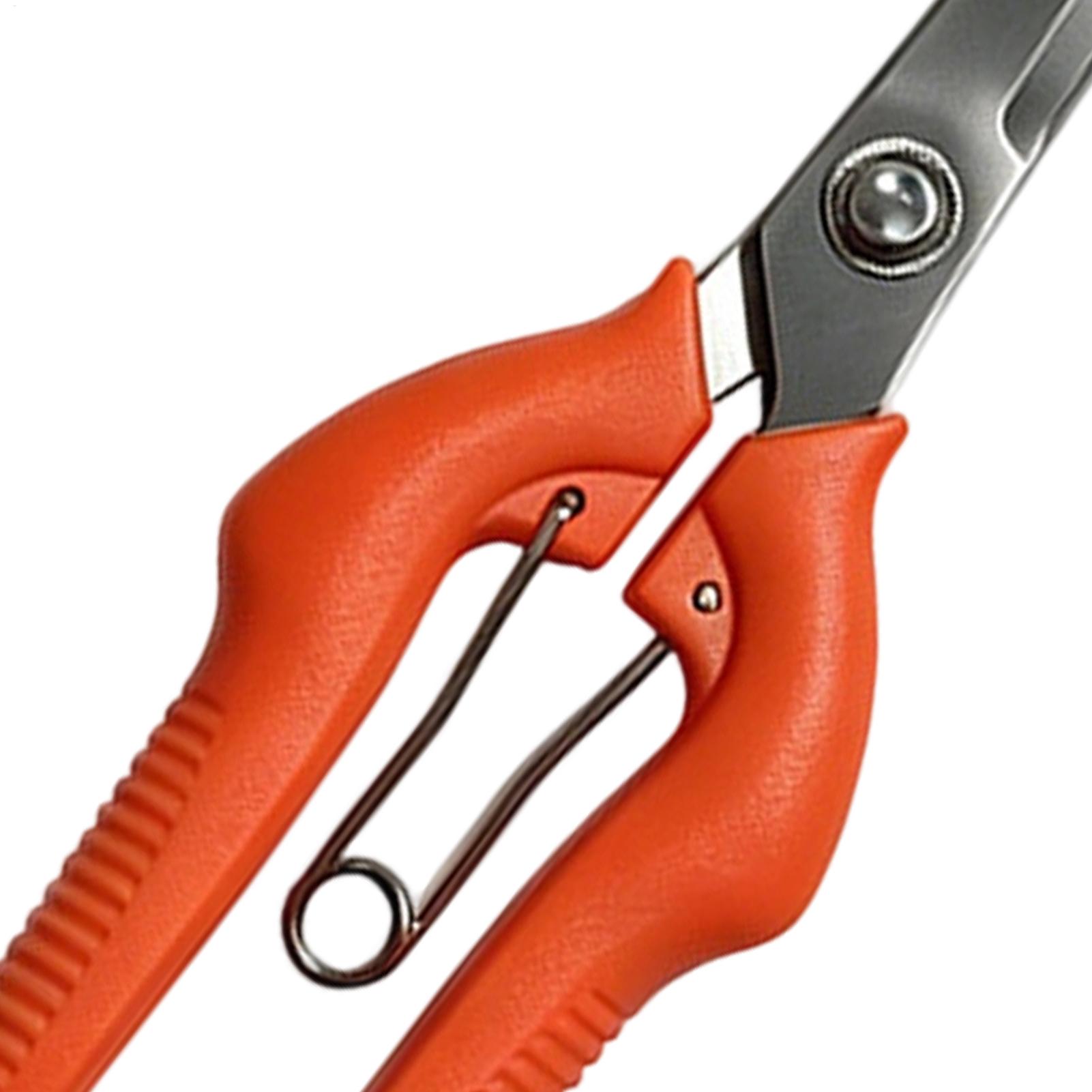 Pruning Shears Grape Scissors  - đánh giá và giá Bonsai Garden Rake