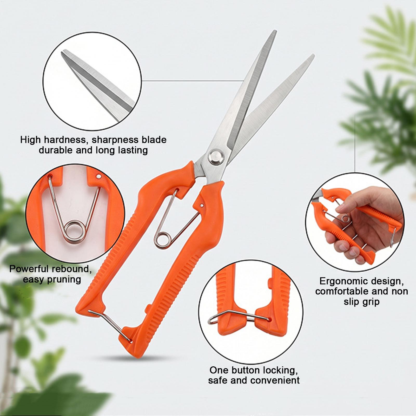 Pruning Shears Grape Scissors  - đánh giá và giá Bonsai Garden Rake