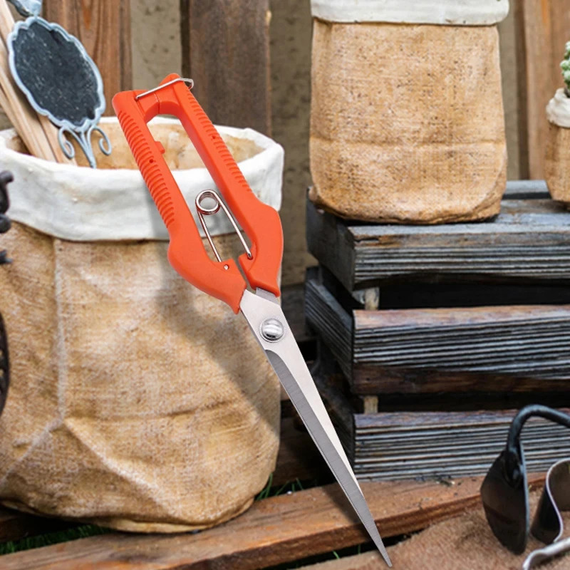 Multi-Purpose Pruning Scissors - đánh giá và giá Bonsai Garden Rake
