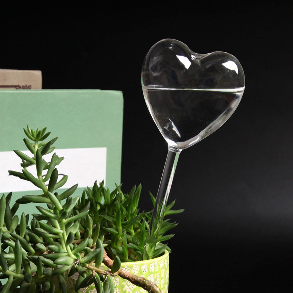 3Pcs Heart Shaped Glass Self W - đánh giá và giá Bonsai Garden Home