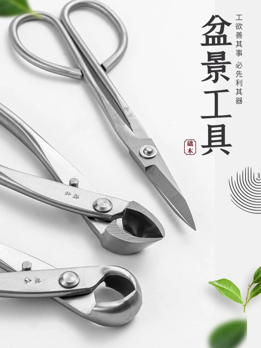 Bonsai Tools Set (3pcs) Branch - đánh giá và giá Bonsai Garden Rake
