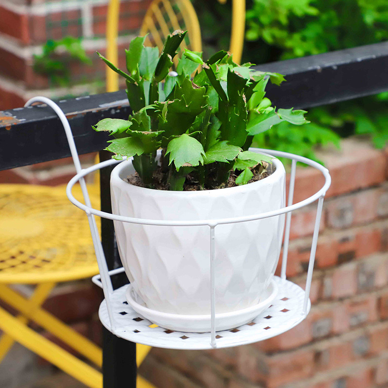 1PC Gardening Pots Outdoor Win - đánh giá và giá Bonsai Garden Art