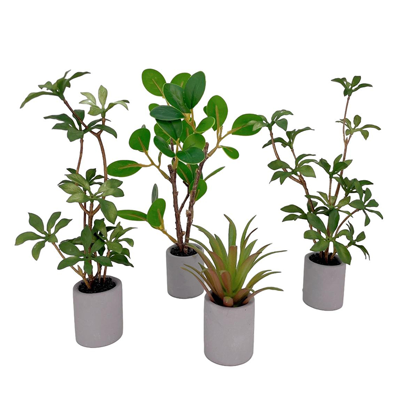 1:6 Dollhouse Miniature Potted - đánh giá và giá Bonsai Garden Home
