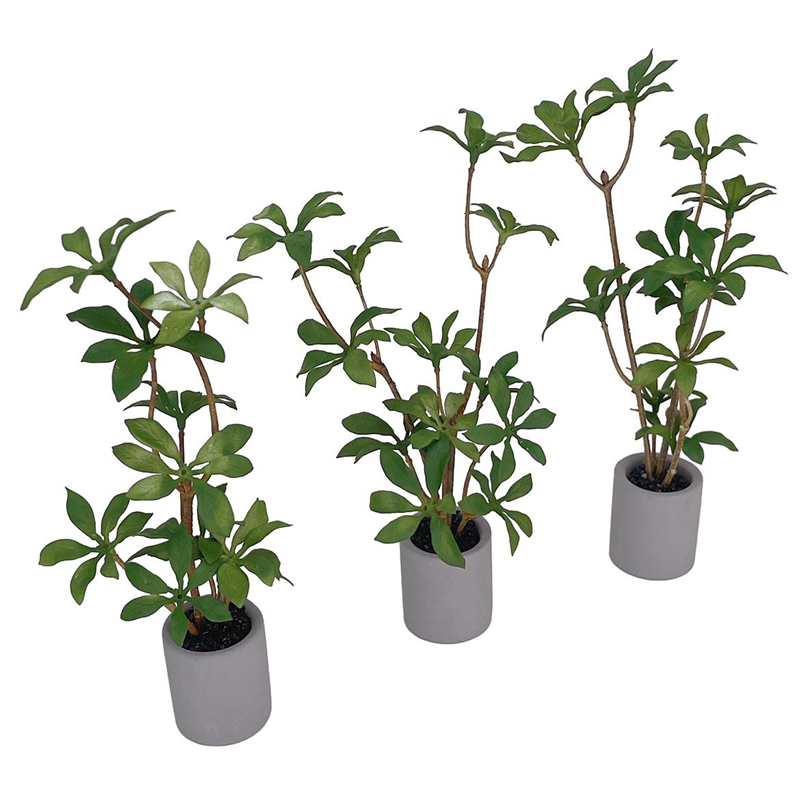 1:6 Dollhouse Miniature Potted - đánh giá và giá Bonsai Garden Home