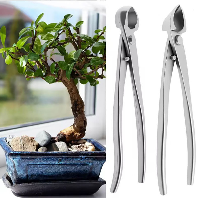 2pcs 210mm Stainless Steel Bon - đánh giá và giá Bonsai Garden Rake