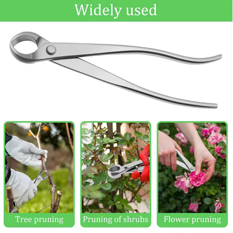 2pcs 210mm Stainless Steel Bon - đánh giá và giá Bonsai Garden Rake