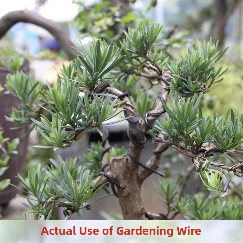 1.5MM Bonsai Wires Aluminum Bo - đánh giá và giá Bonsai Garden Home
