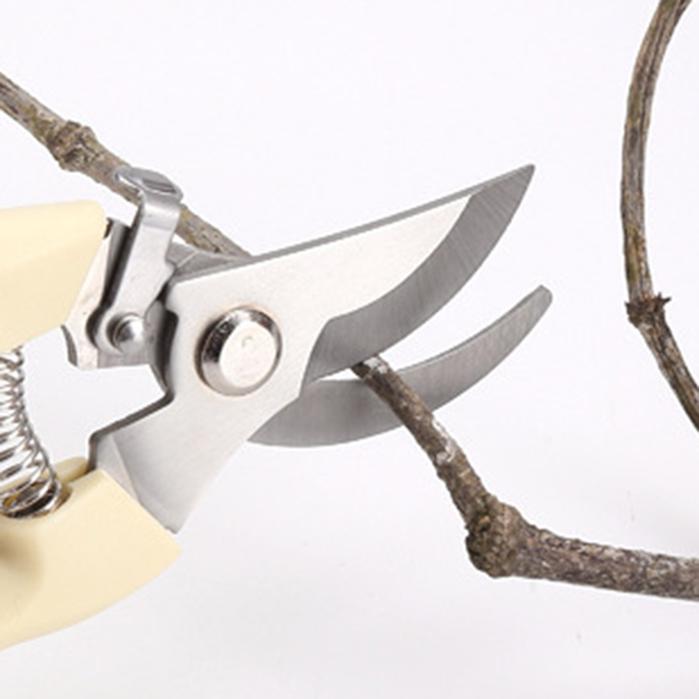 Pruner Shears Hand Tools Bonsa - đánh giá và giá Bonsai Garden Rake