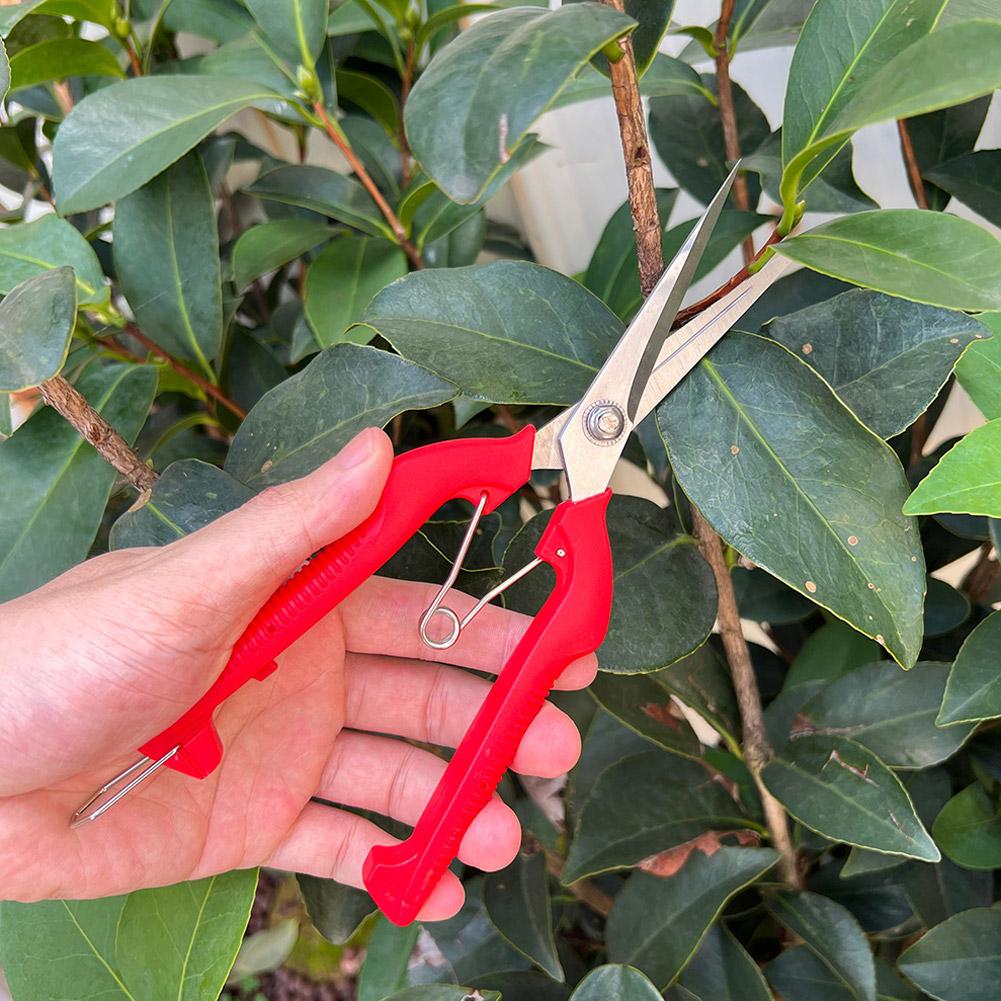 Pro Garden Pruning Shears Leng - đánh giá và giá Bonsai Garden Tools
