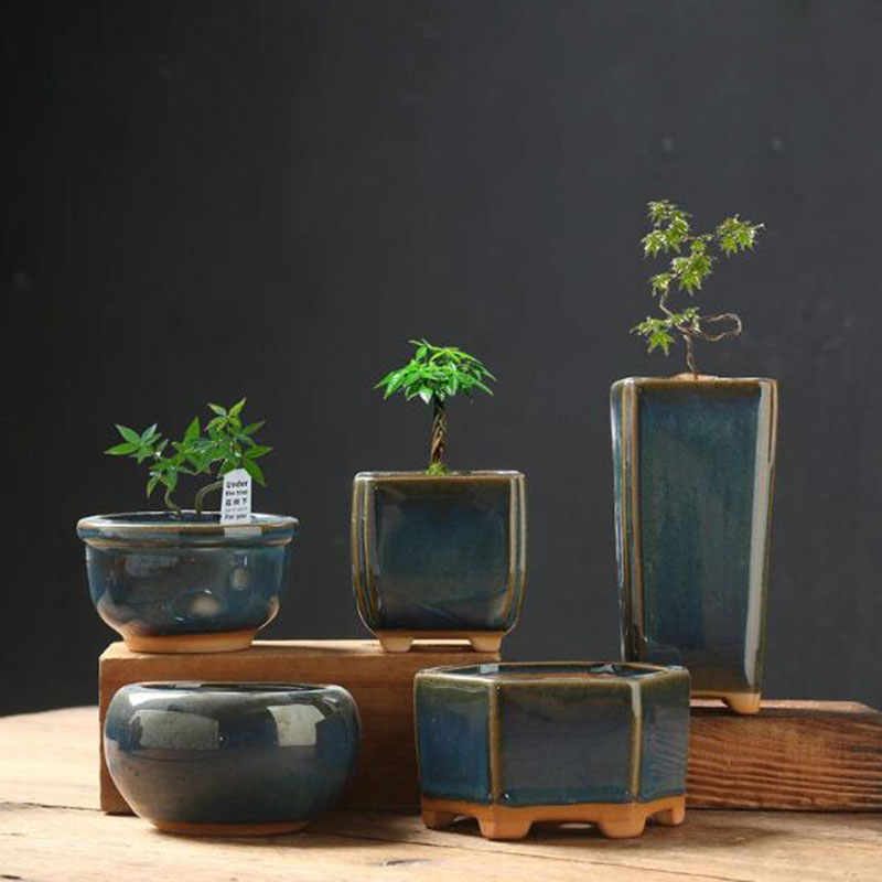 Kiln Transmutation Glazed Eggs - đánh giá và giá Bonsai Garden Art