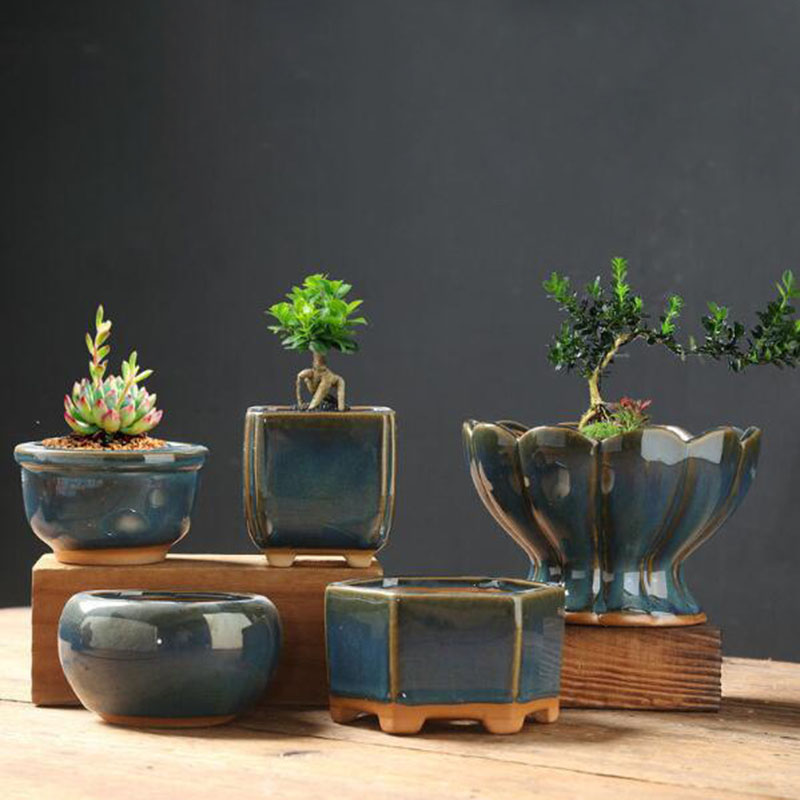 Kiln Transmutation Glazed Eggs - đánh giá và giá Bonsai Garden Art