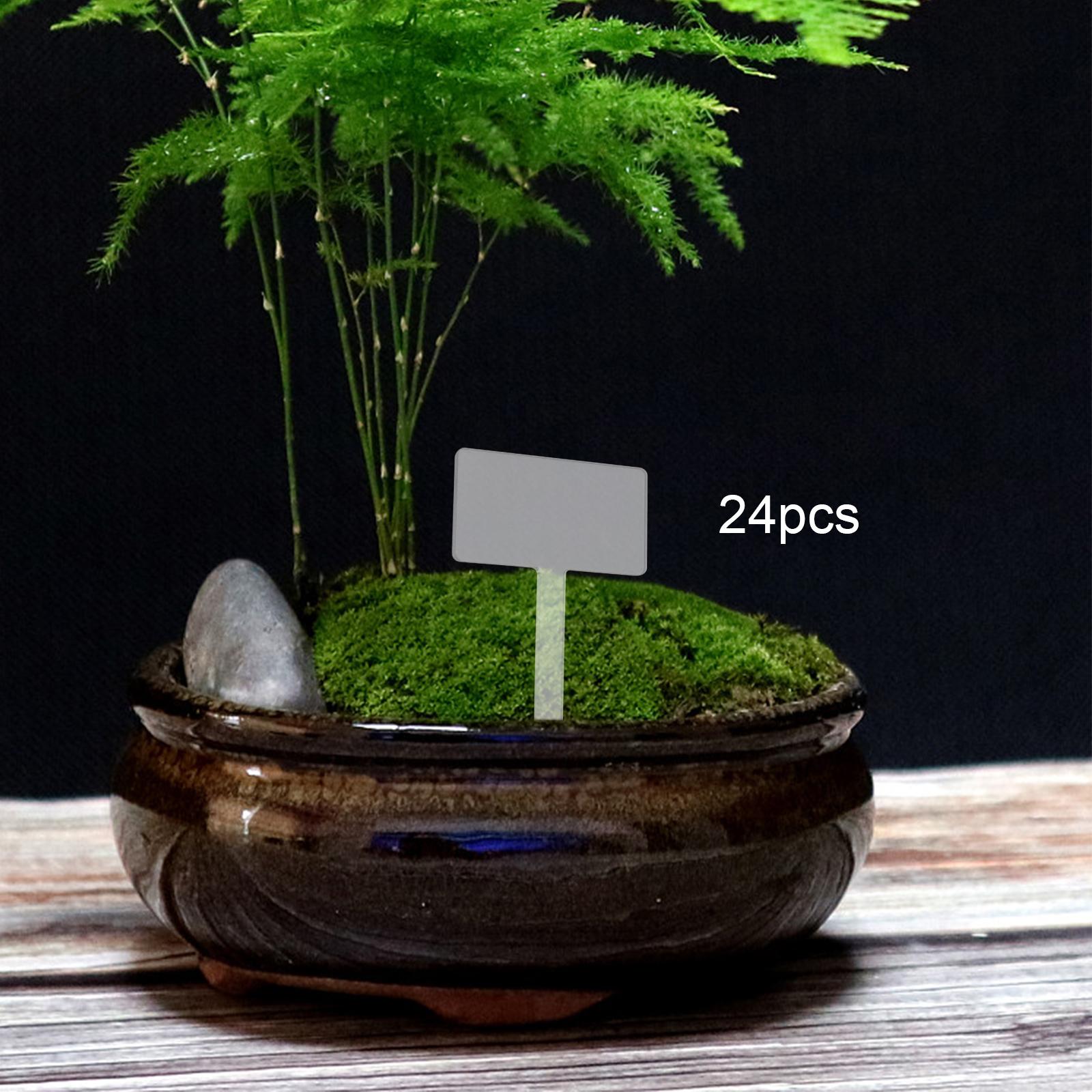 24x Acrylic Plant Tag Plant Na - đánh giá và giá Bonsai Garden Name