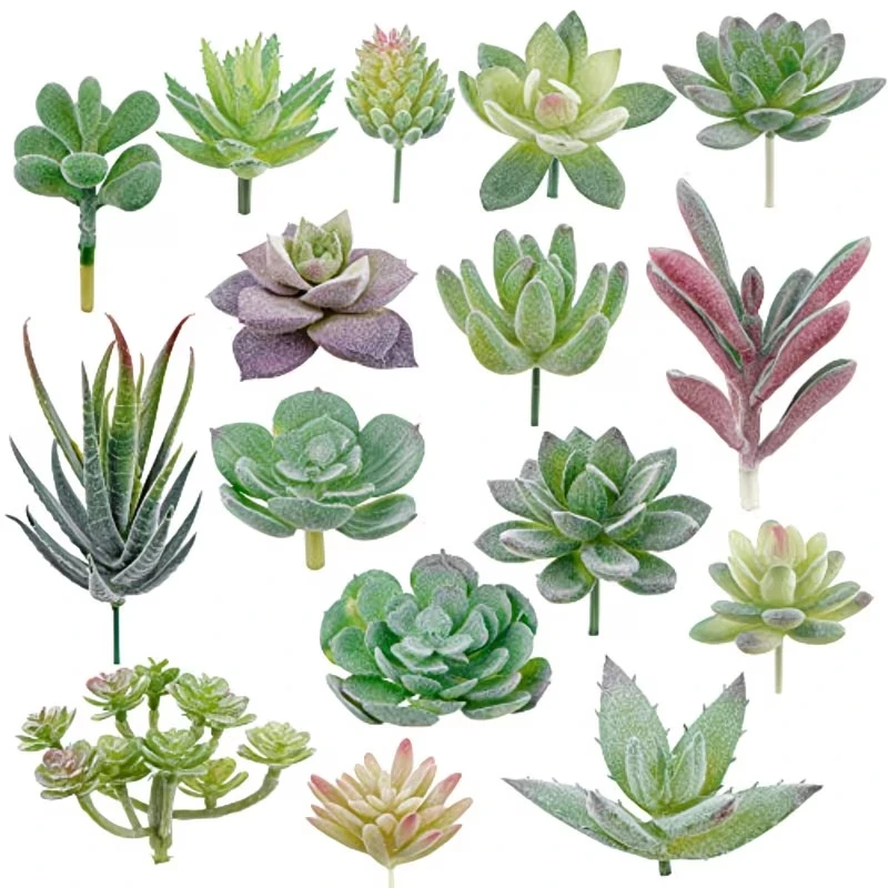 10/20Pcs PVC Succulents Plants - đánh giá và giá Bonsai Garden Home